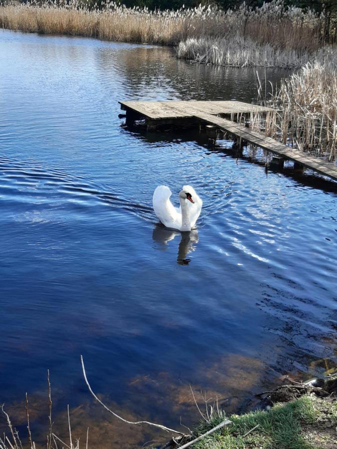 Villa Domek Caloroczny Magjan Z Sauna Złotów Exterior foto