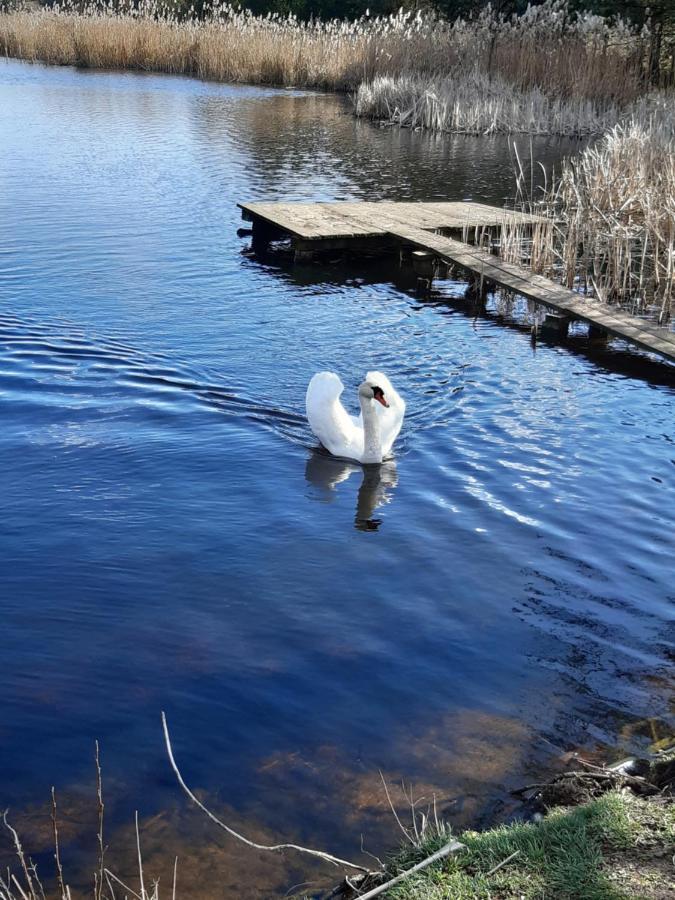 Domek Caloroczny Magjan Z Sauna Złotów Exterior foto